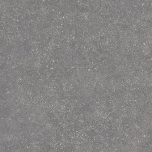 bluestone dark porcelian tile